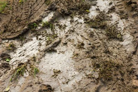 The mud Stock Photos