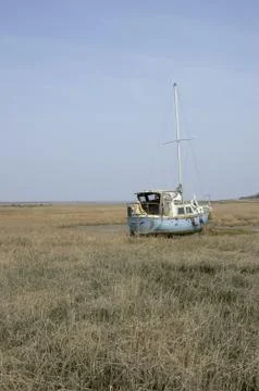 In the mud Stock Photos