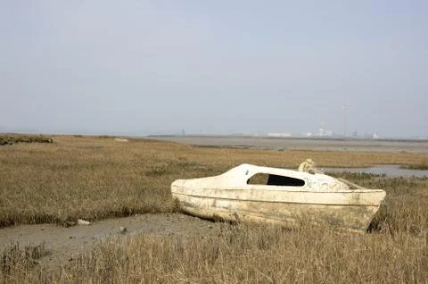 In the mud Stock Photos