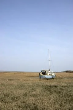 In the mud Stock Photos