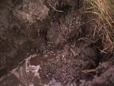 Mud pit Stock Footage 2353874