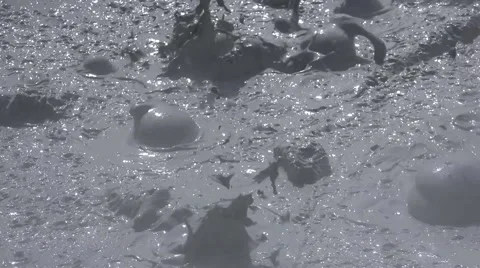 Mud Pots Stock Footage 55181835