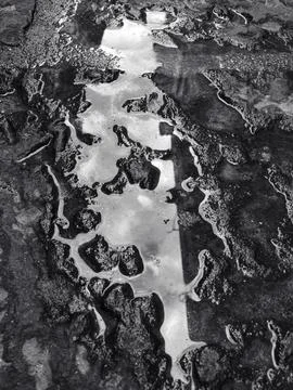 Mud puddle with reflected sky Stock Photos