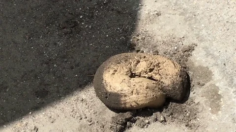 Mud Pumping Close Up Видео 77143019