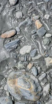 Mud, river silt, and rocks left by the river for use as a background texture. Stock Photos
