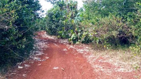 Mud road 写真素材