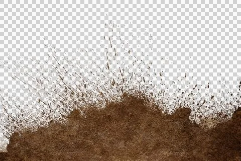 Mud splash isolated transparency background.. Stock Illustration