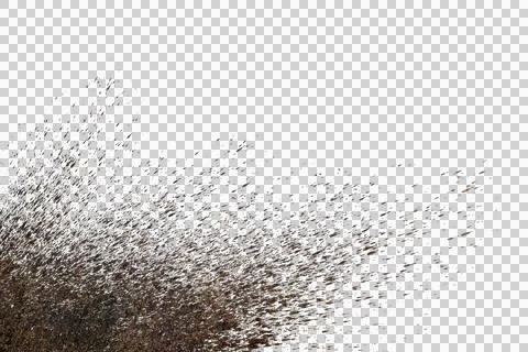 Mud splash isolated transparency background.. Stock Illustration