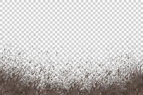 Mud splash isolated transparency background. Stock Photos