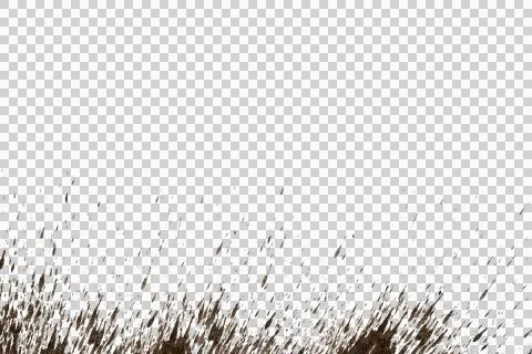 Mud splash isolated transparency background.. 스톡 사진