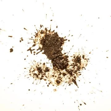 Mud splat pattern isolated on a white background 스톡 사진