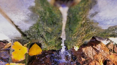 Mud spring water jet in slow motion Stock Footage 124390232
