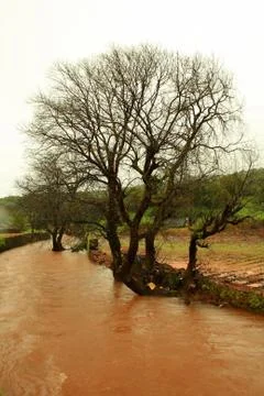 Mud stream Stock Photos