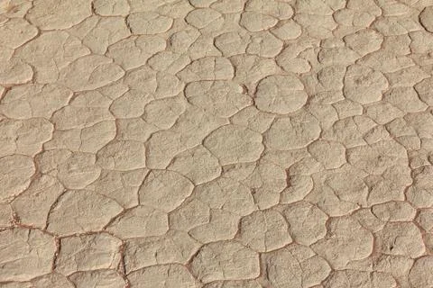 Mud texture of drying prism desiccation cracks in soil. Stock Photos