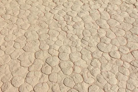 Mud texture of drying prism desiccation cracks in soil. Stock Photos