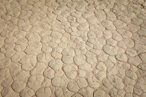 Mud texture of drying prism desiccation cracks in soil. Stock Photos