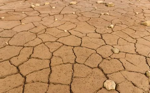 Mud texture of drying prism desiccation cracks in soil. Stock Photos