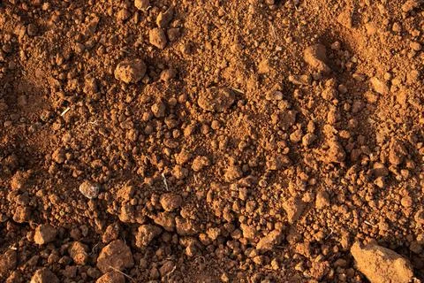 Mud Texture Image of soil Stock Photos
