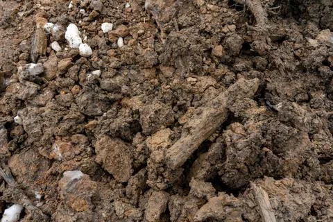 Mud texture or moist brown soil Stock Photos
