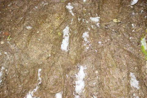 Mud texture or wet brown soil as natural organic clay and geological sediment Foto stock