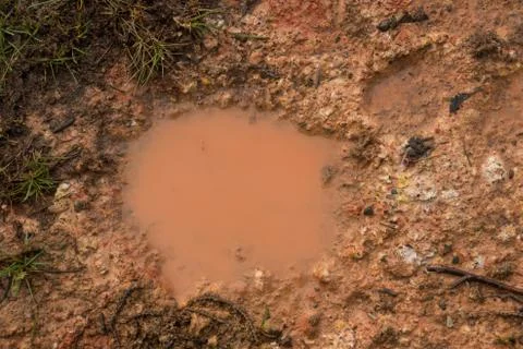 Mud texture or wet brown soil as natural organic clay and geological sediment Stock Photos