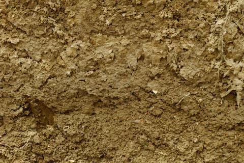 Mud texture Stock Photos