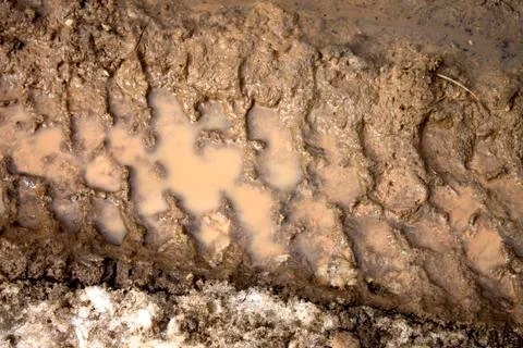 Mud tire tracks Stock Photos