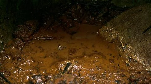 Mud from a tree in a pot Stock Photos