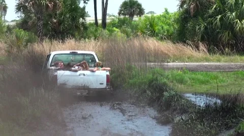 Mud truck mudding Stock Footage 64182846