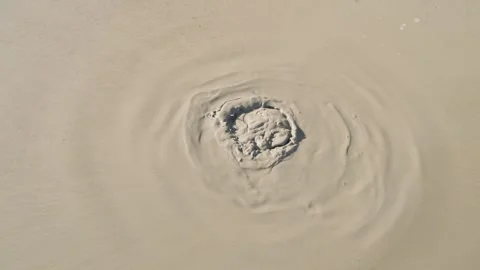 Mud volcano, gas bubbles come to surface Stock Footage 295037778
