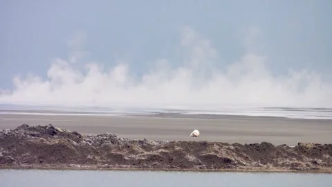 Mud volcano in Sidoarjo. Java, Indonesia Vidéo 311326156