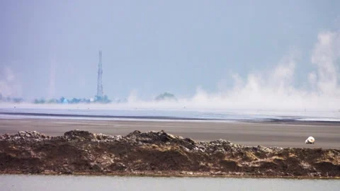 Mud volcano in Sidoarjo. Java, Indonesia Vidéo 311326167
