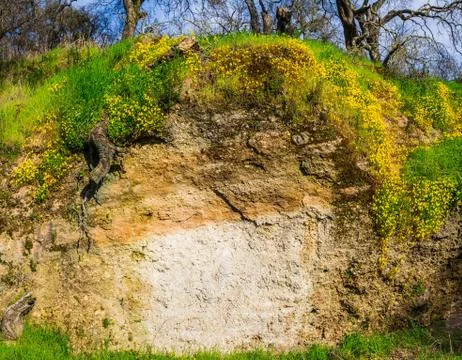 Mud Wall Stock Photos