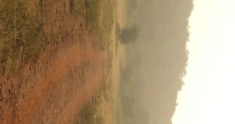 Mud way vertical in the Forest Stock Footage 293182540