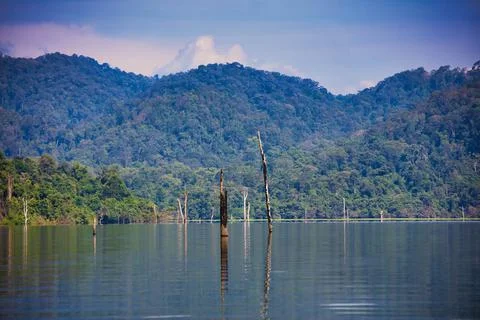 Muda Lake Stock Photos