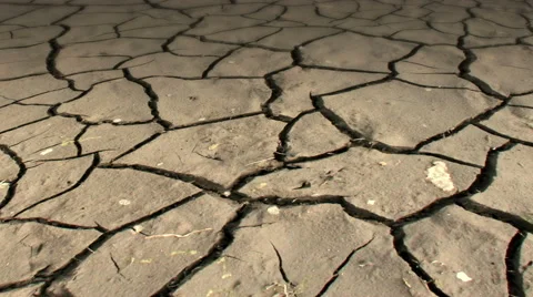 Mudcracks in the dry soil...slow dolly shot Stock Footage 57574035