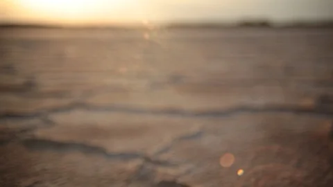 Mudcracks Stock Footage 129753839