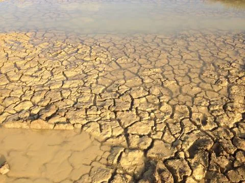 Mudcracks - Geology Stock Photos