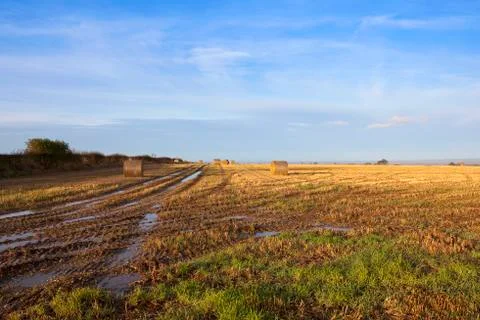 Muddy autumn fields Stock Photos