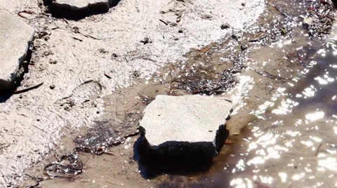 Muddy beach water Stock Footage 32933873