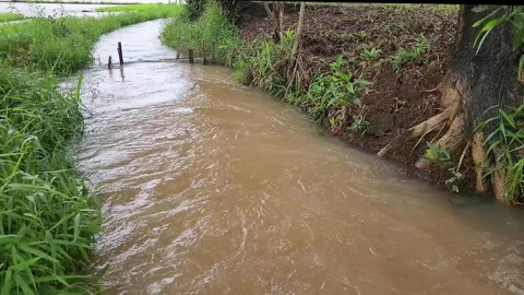 Muddy Canal Current Passing Rural Grass Embankment Stock Footage 329658555