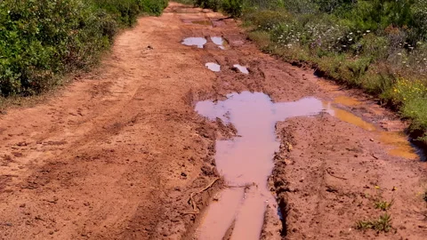 Muddy dirt road path with puddles in nature Stock Footage 336311058