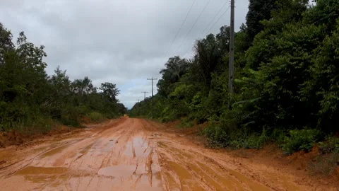 Muddy Dirt Road Through Dense Amazon Rainforest With Power Lines Stock Footage 339998670