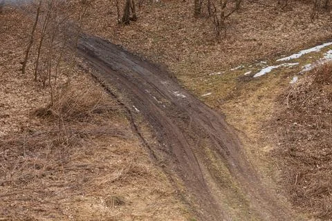 A muddy dirt road winds through a barren forest landscape in early spring w.. Stock Photos