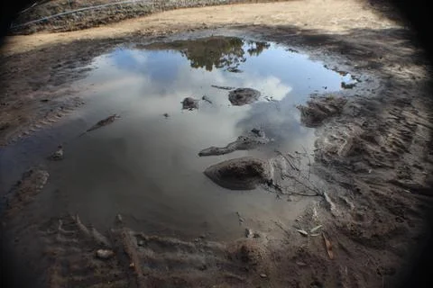 Muddy Face Foto stock