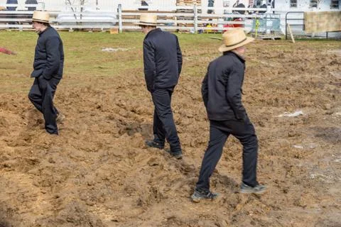 Muddy Fields with Amish Stock Photos