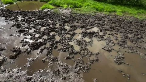 Muddy flooded ground with shallow standing water, rough soil clumps, bright Stock Footage 345680834