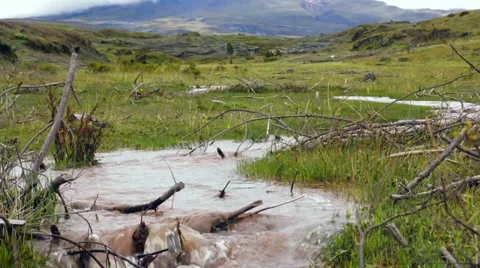 Muddy floodwater running down a gully on the paramo Video stock 63072593