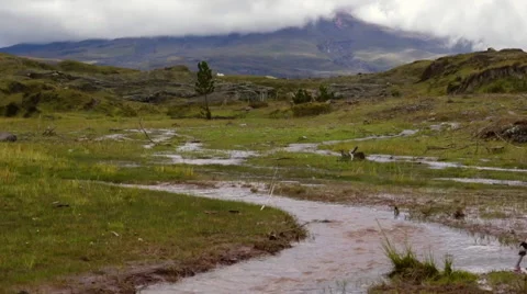Muddy floodwater running down a gully on the paramo Vídeo Stock 63078880