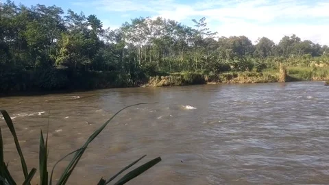 The Muddy Flow of Atibaia River 库存影片 335081608